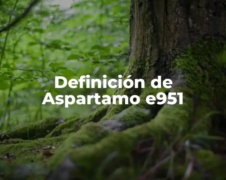 Definición de Aspartamo e951