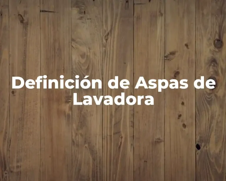 Definición de Aspas de Lavadora