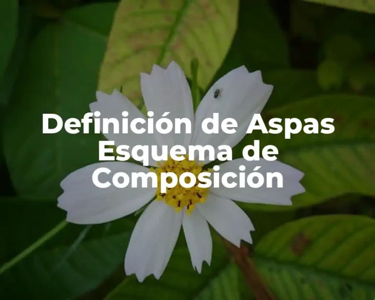 Definición de Aspas Esquema de Composición
