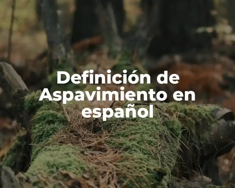 Definición de Aspavimiento en español