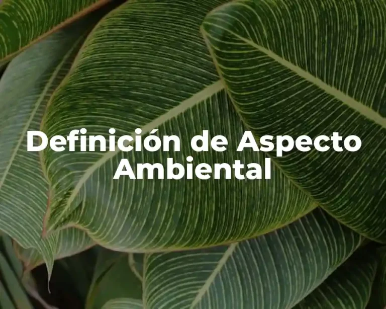 Definición de Aspecto Ambiental