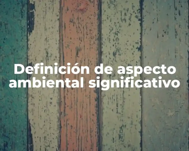 Definición de aspecto ambiental significativo