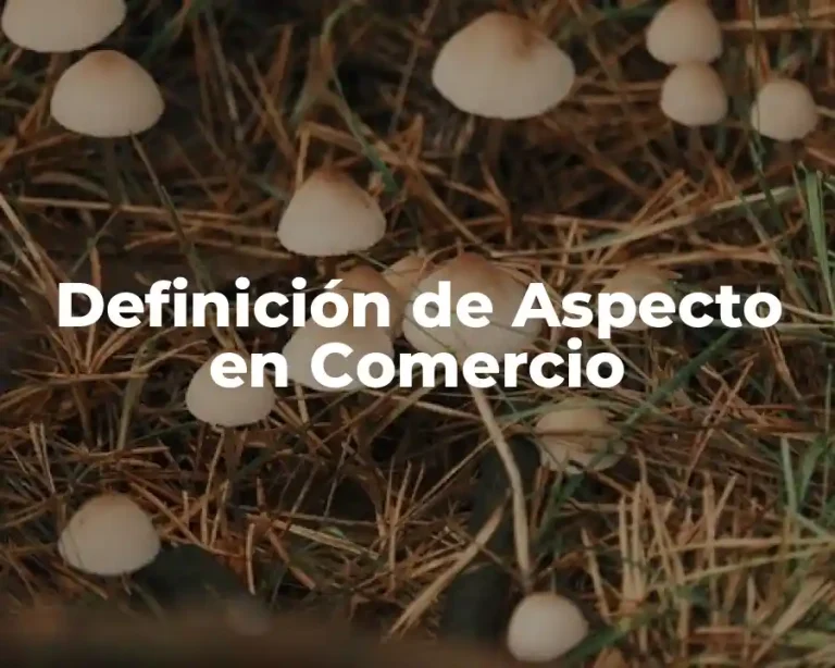 Definición de Aspecto en Comercio