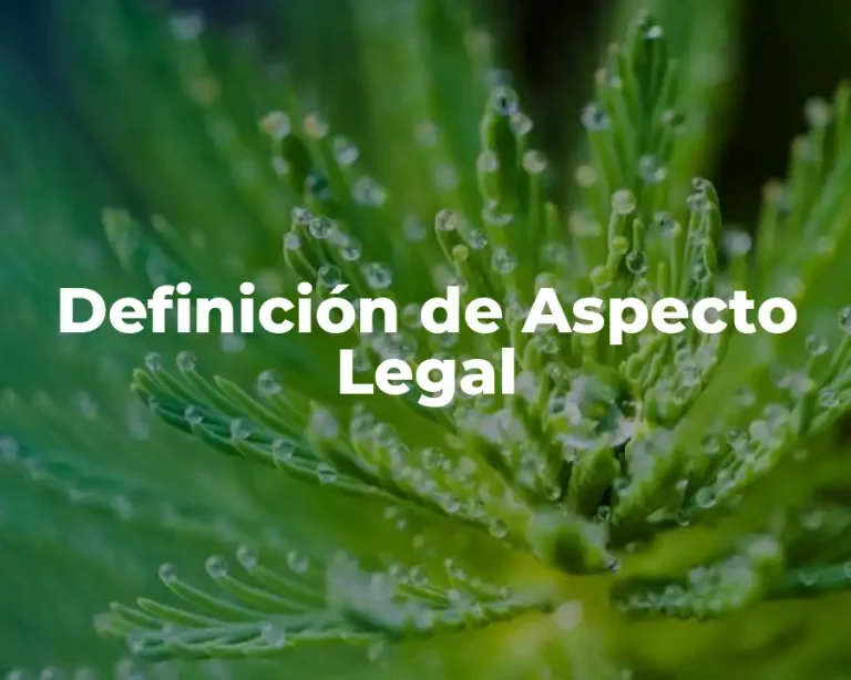 Definición de Aspecto Legal