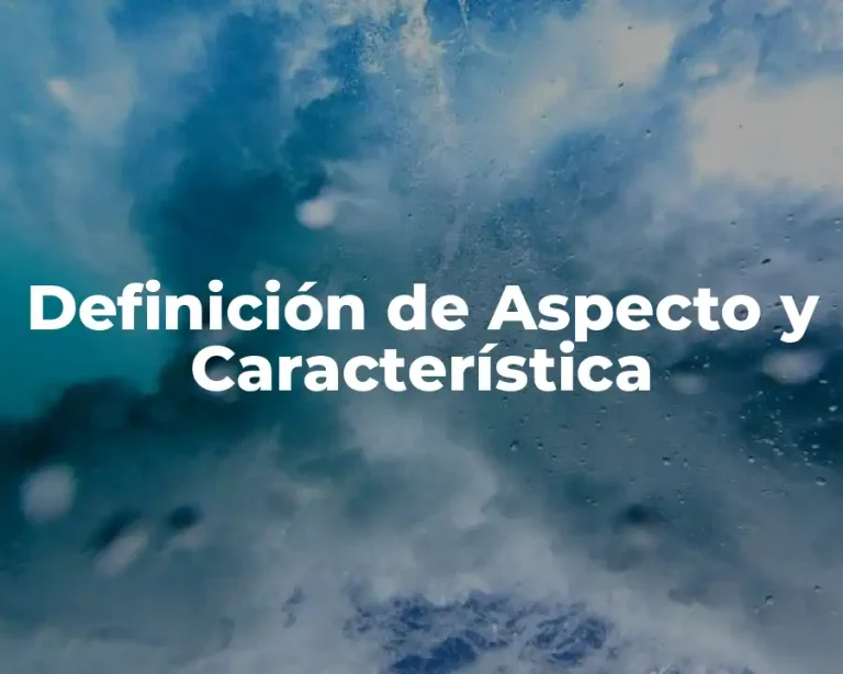 Definición de Aspecto y Característica