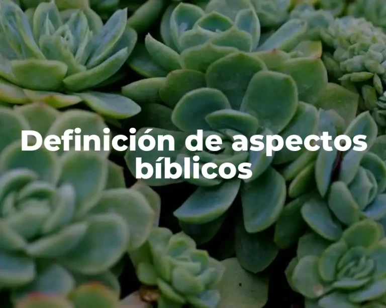 Definición de aspectos bíblicos