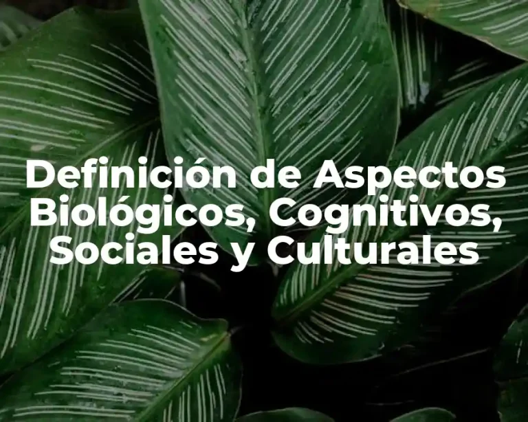 Definición de Aspectos Biológicos, Cognitivos, Sociales y Culturales