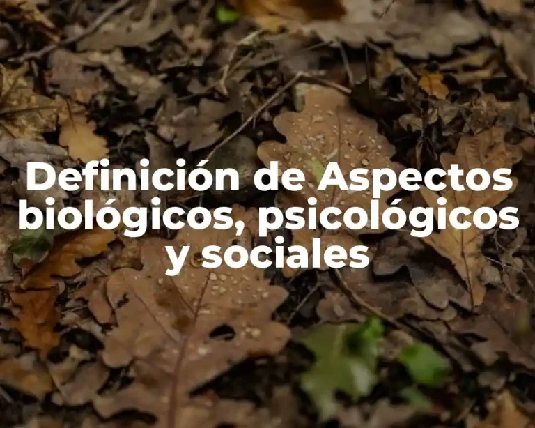 Definición de Aspectos biológicos, psicológicos y sociales