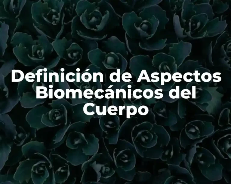 Definición de Aspectos Biomecánicos del Cuerpo