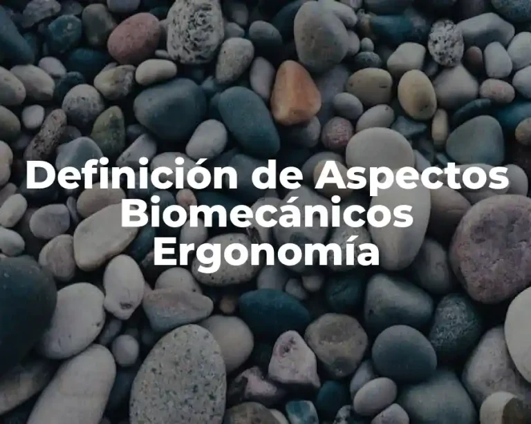 Definición de Aspectos Biomecánicos Ergonomía
