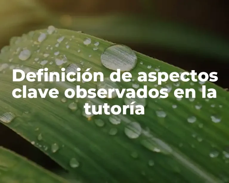 Definición de aspectos clave observados en la tutoría