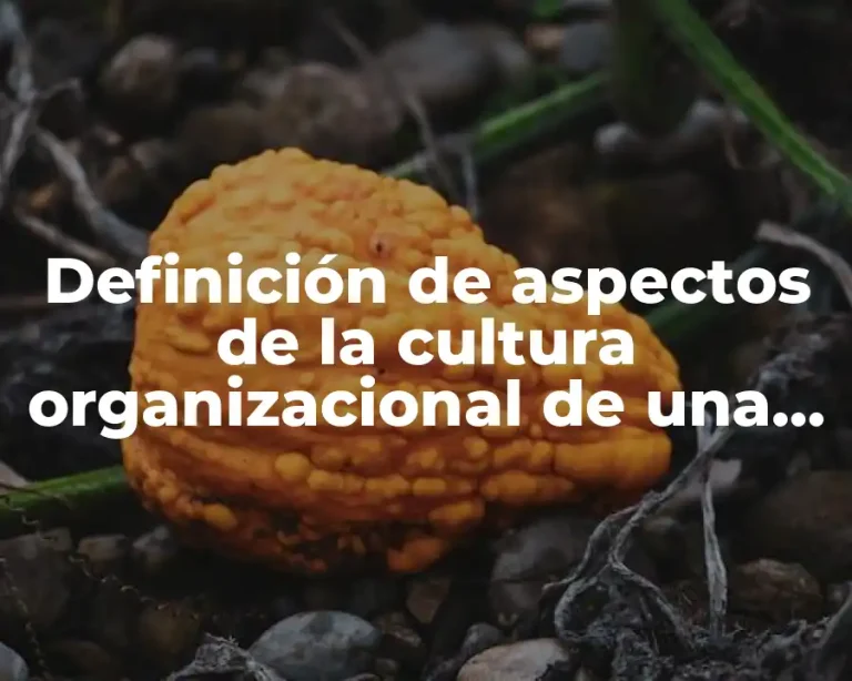 Definición de aspectos de la cultura organizacional de una empresa