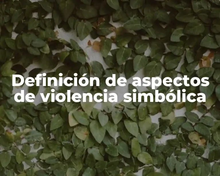 Definición de aspectos de violencia simbólica