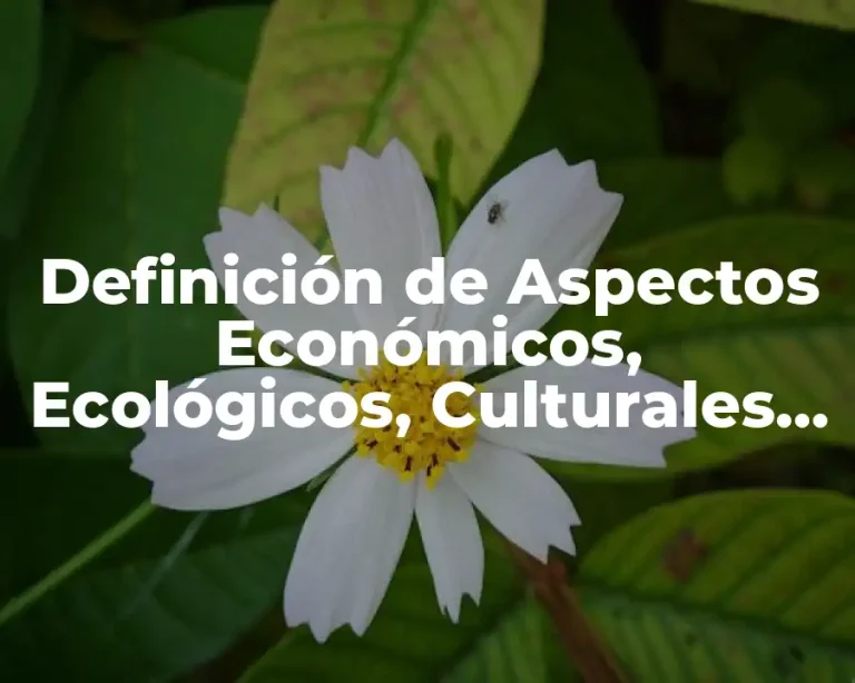 Definición de Aspectos Económicos, Ecológicos, Culturales, Tecnológicos y de Gobierno
