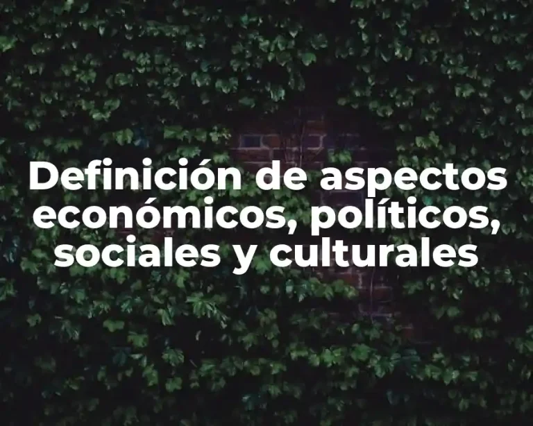 Definición de aspectos económicos, políticos, sociales y culturales