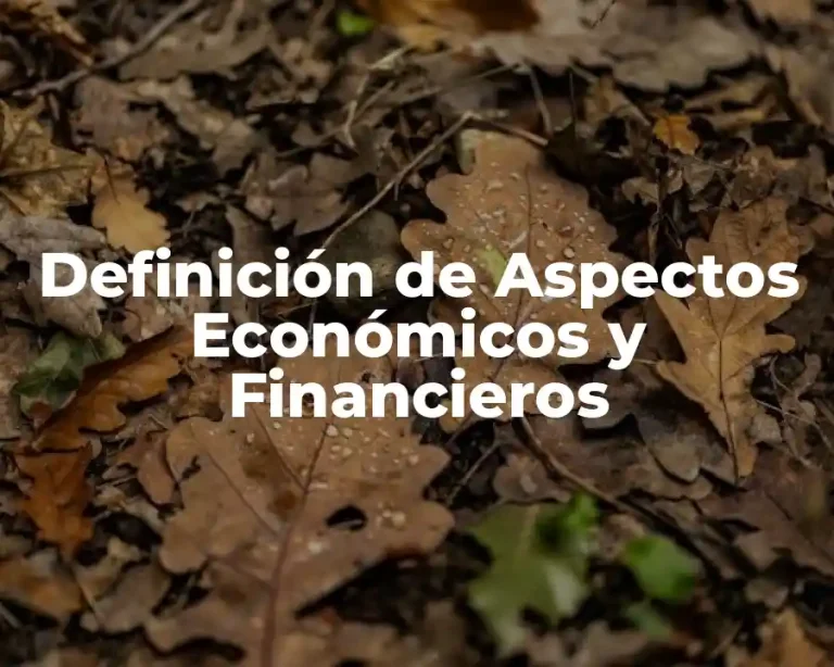 Definición de Aspectos Económicos y Financieros