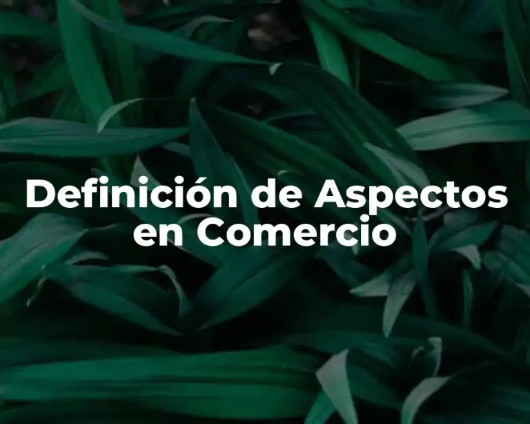 Definición de Aspectos en Comercio