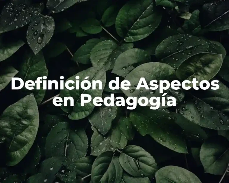 Definición de Aspectos en Pedagogía