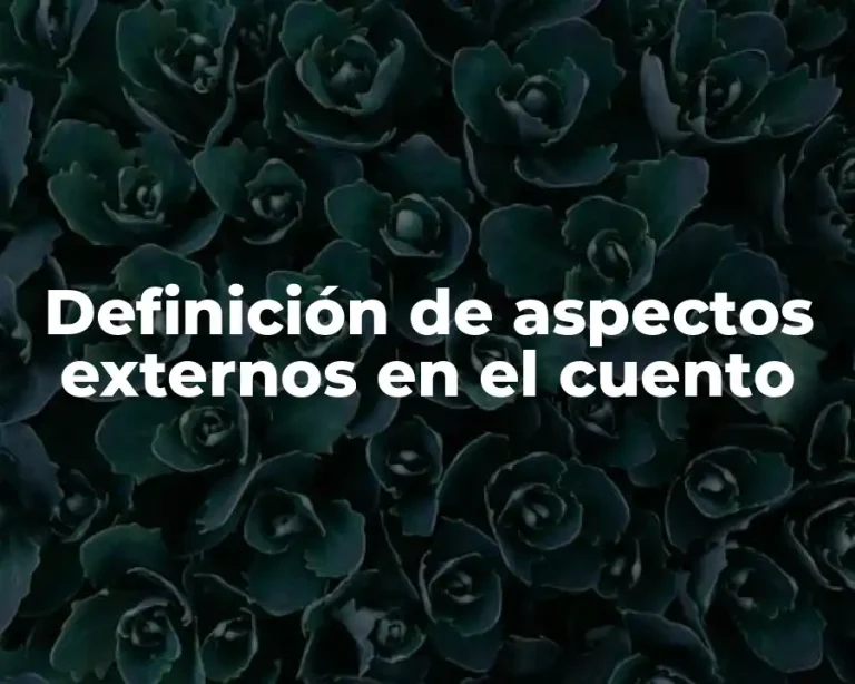 Definición de aspectos externos en el cuento