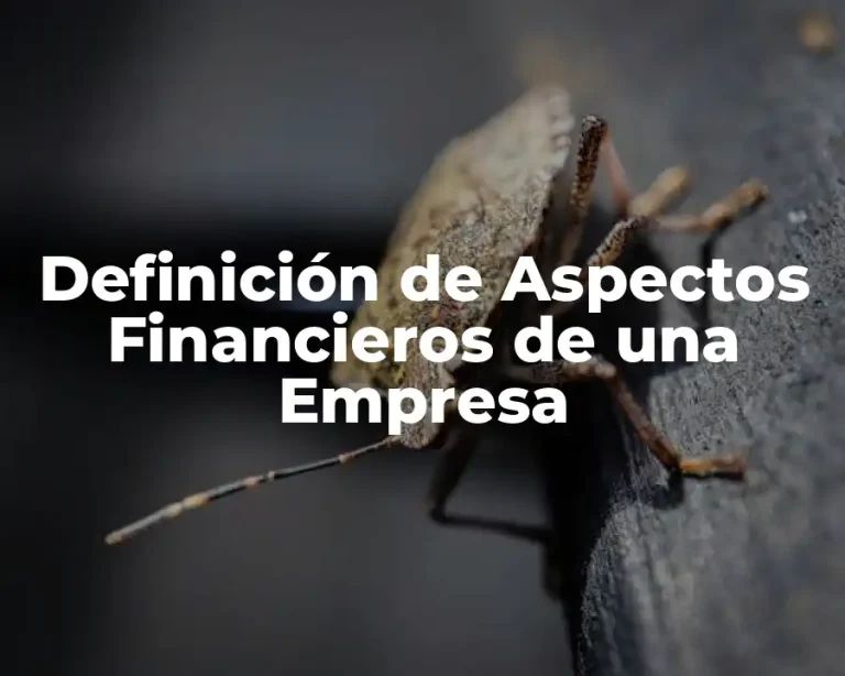 Definición de Aspectos Financieros de una Empresa