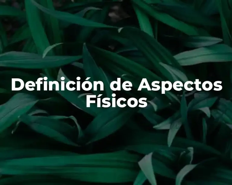 Definición de Aspectos Físicos