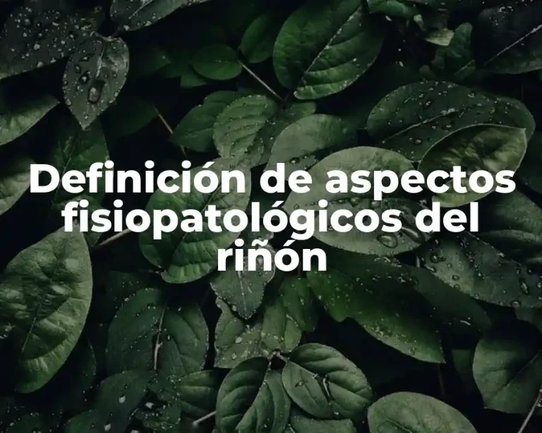 Definición de aspectos fisiopatológicos del riñón