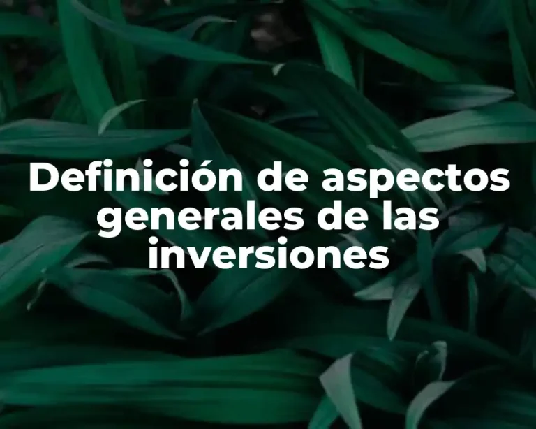 Definición de aspectos generales de las inversiones