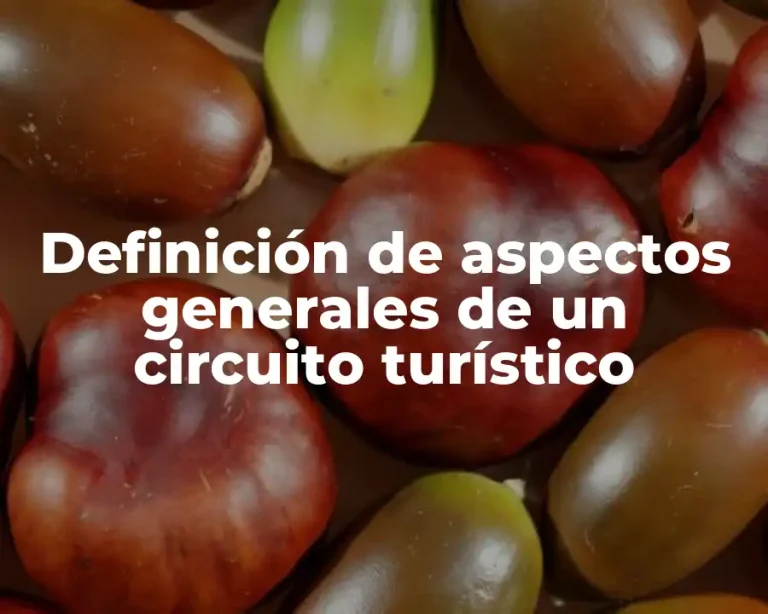Definición de aspectos generales de un circuito turístico