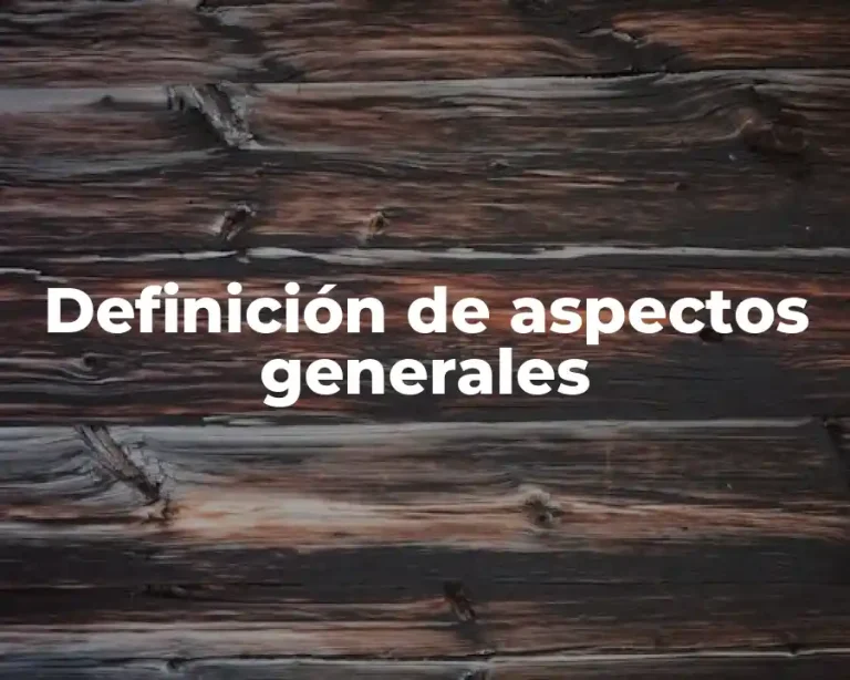 Definición de aspectos generales