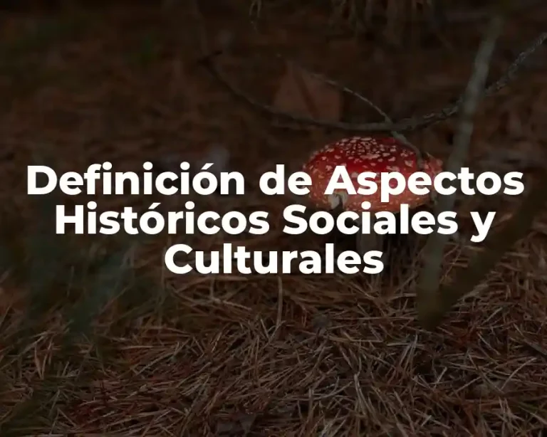 Definición de Aspectos Históricos Sociales y Culturales