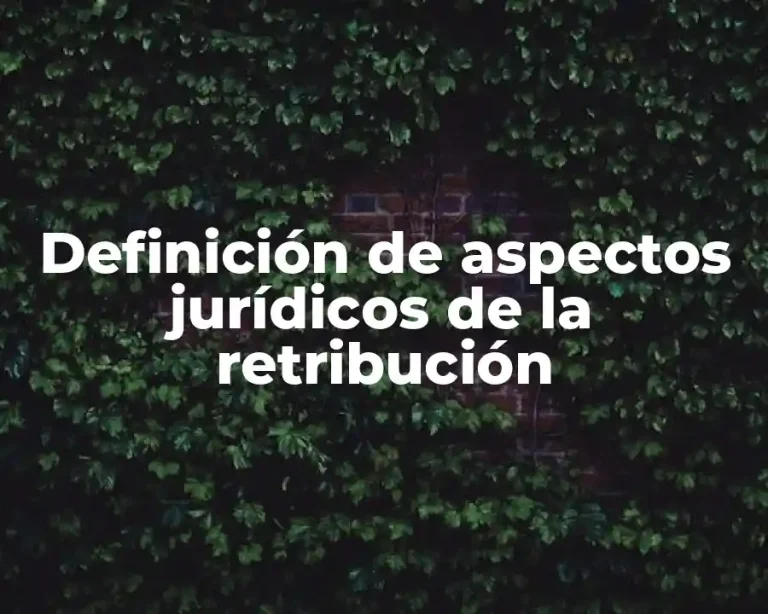 Definición de aspectos jurídicos de la retribución