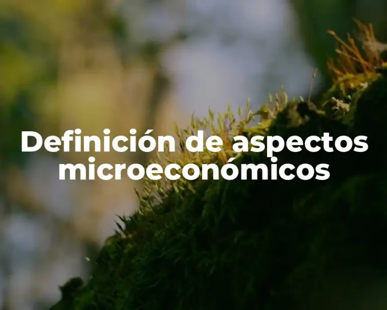 Definición de aspectos microeconómicos
