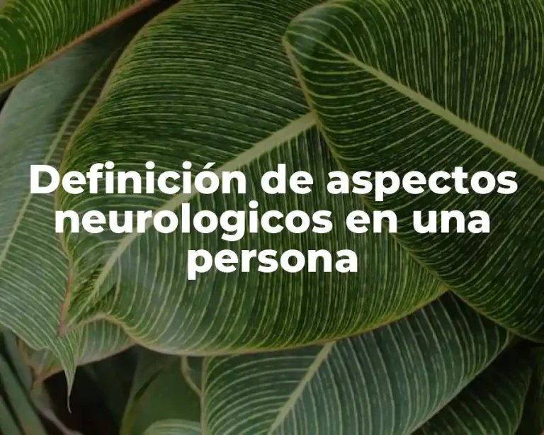 Definición de aspectos neurologicos en una persona