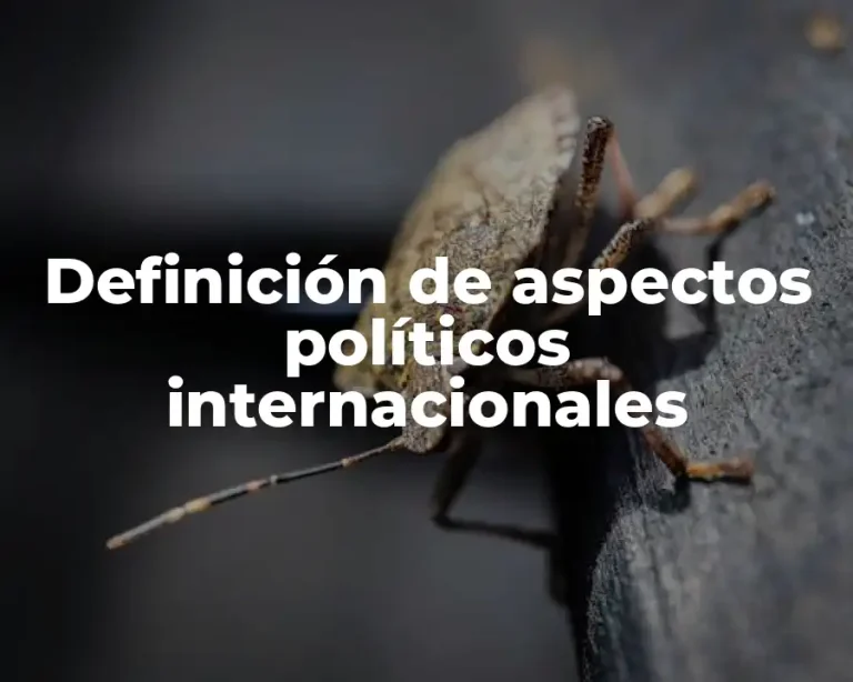 Definición de aspectos políticos internacionales