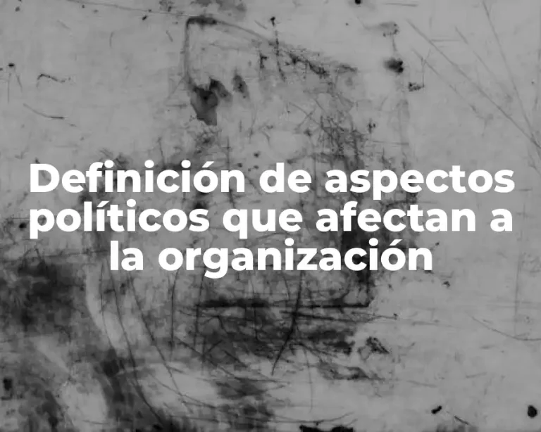 Definición de aspectos políticos que afectan a la organización