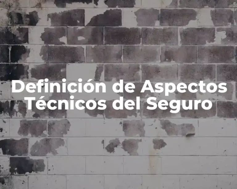Definición de Aspectos Técnicos del Seguro