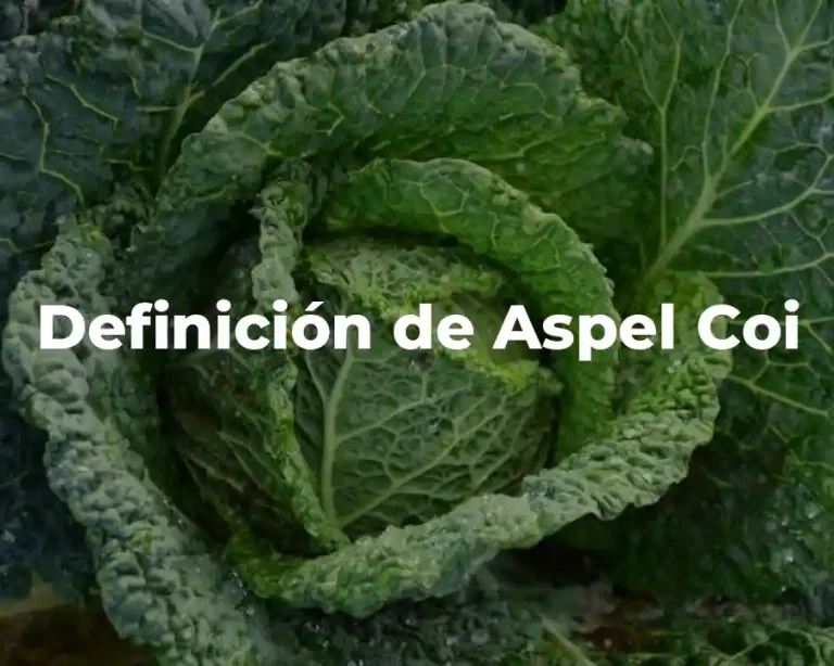 Definición de Aspel Coi
