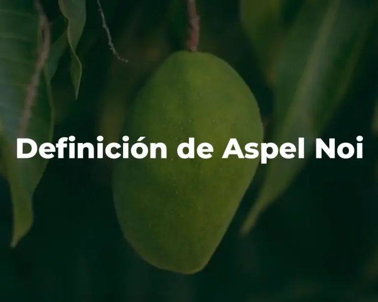 Definición de Aspel Noi
