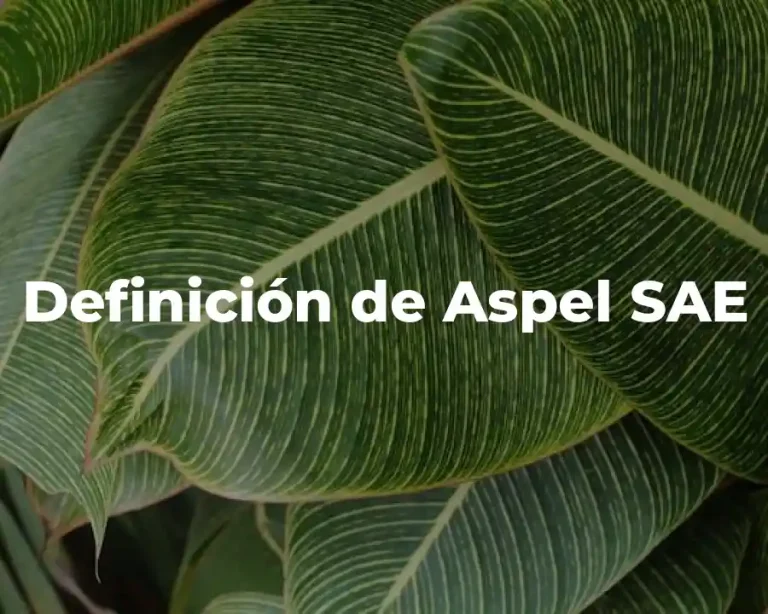 Definición de Aspel SAE