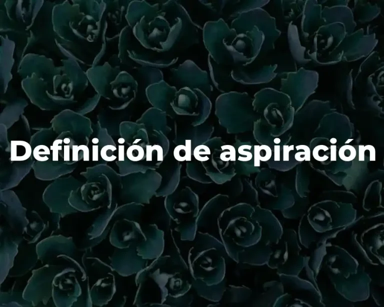 Definición de aspiración