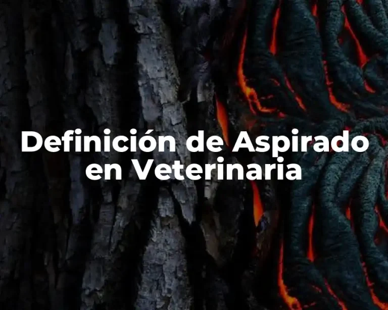 Definición de Aspirado en Veterinaria