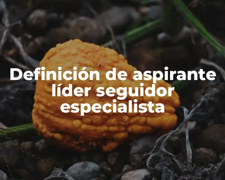Definición de aspirante líder seguidor especialista