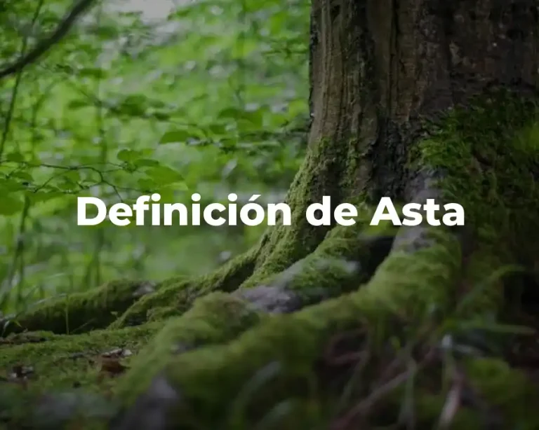 Definición de Asta