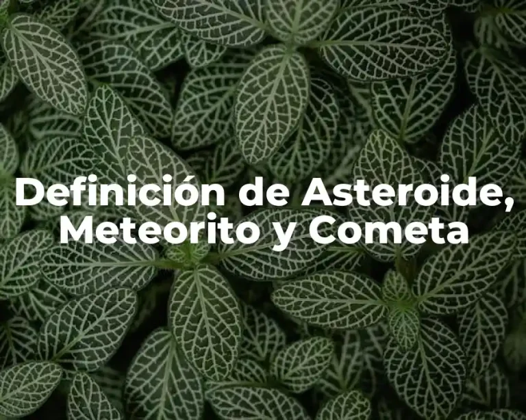 Definición de Asteroide, Meteorito y Cometa