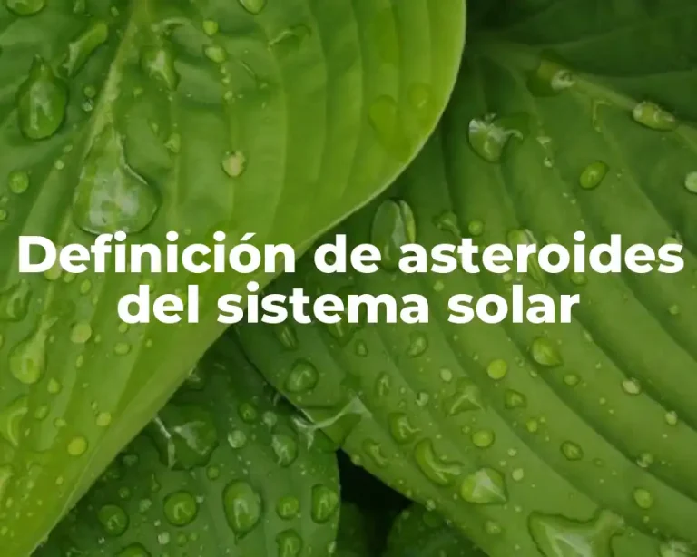 Definición de asteroides del sistema solar