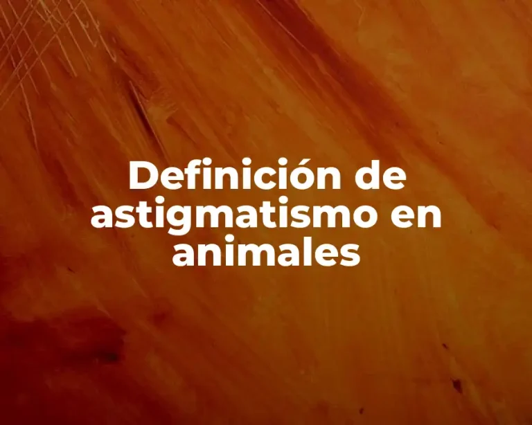 Definición de astigmatismo en animales