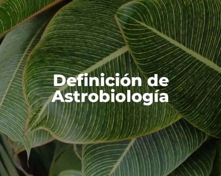 Definición de Astrobiología