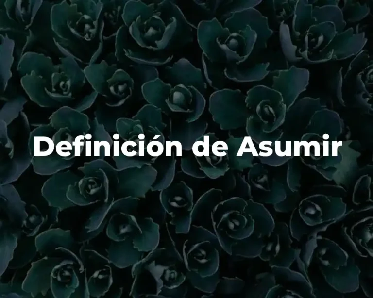 Definición de Asumir