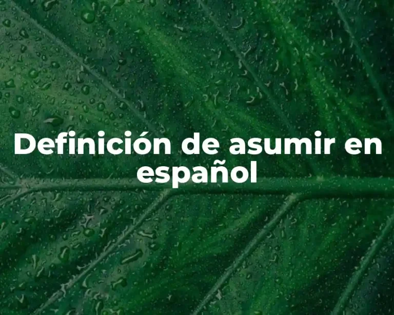 Definición de asumir en español
