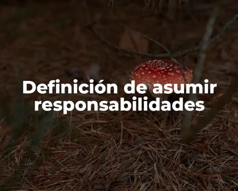 Definición de asumir responsabilidades